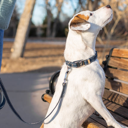 Bestseller Quick-Release Blue Jeans Leather Dog Collar with Metal Buckle