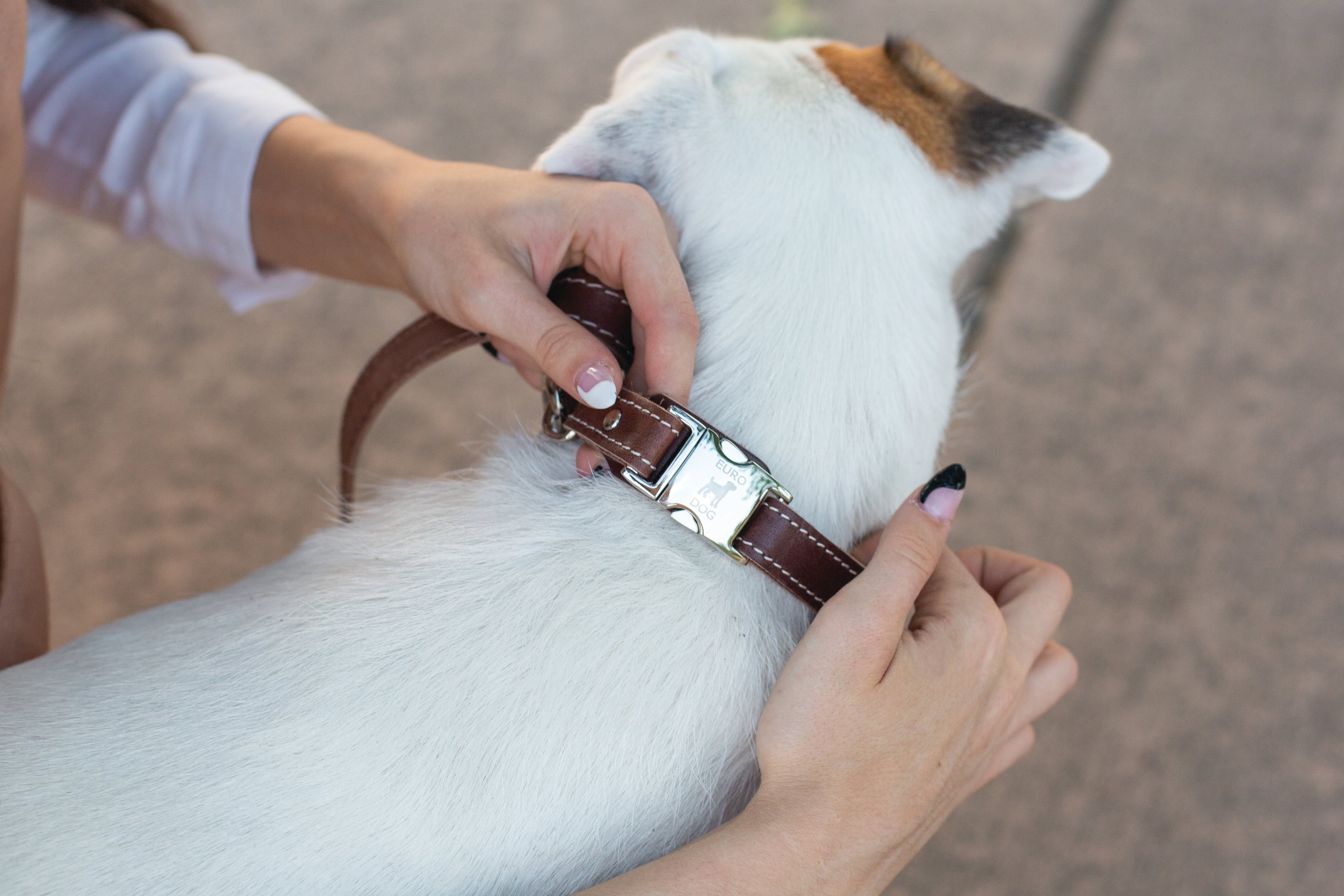 Bestseller Quick-Release Chocolate Leather Dog Collar with Metal Buckle