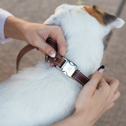 Bestseller Quick-Release Chocolate Leather Dog Collar with Metal Buckle