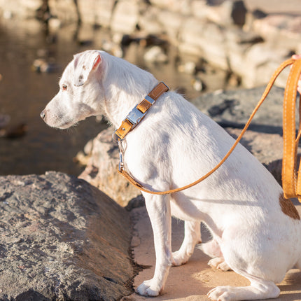 Bestseller Quick-Release Khaki Leather Dog Collar with Metal Buckle