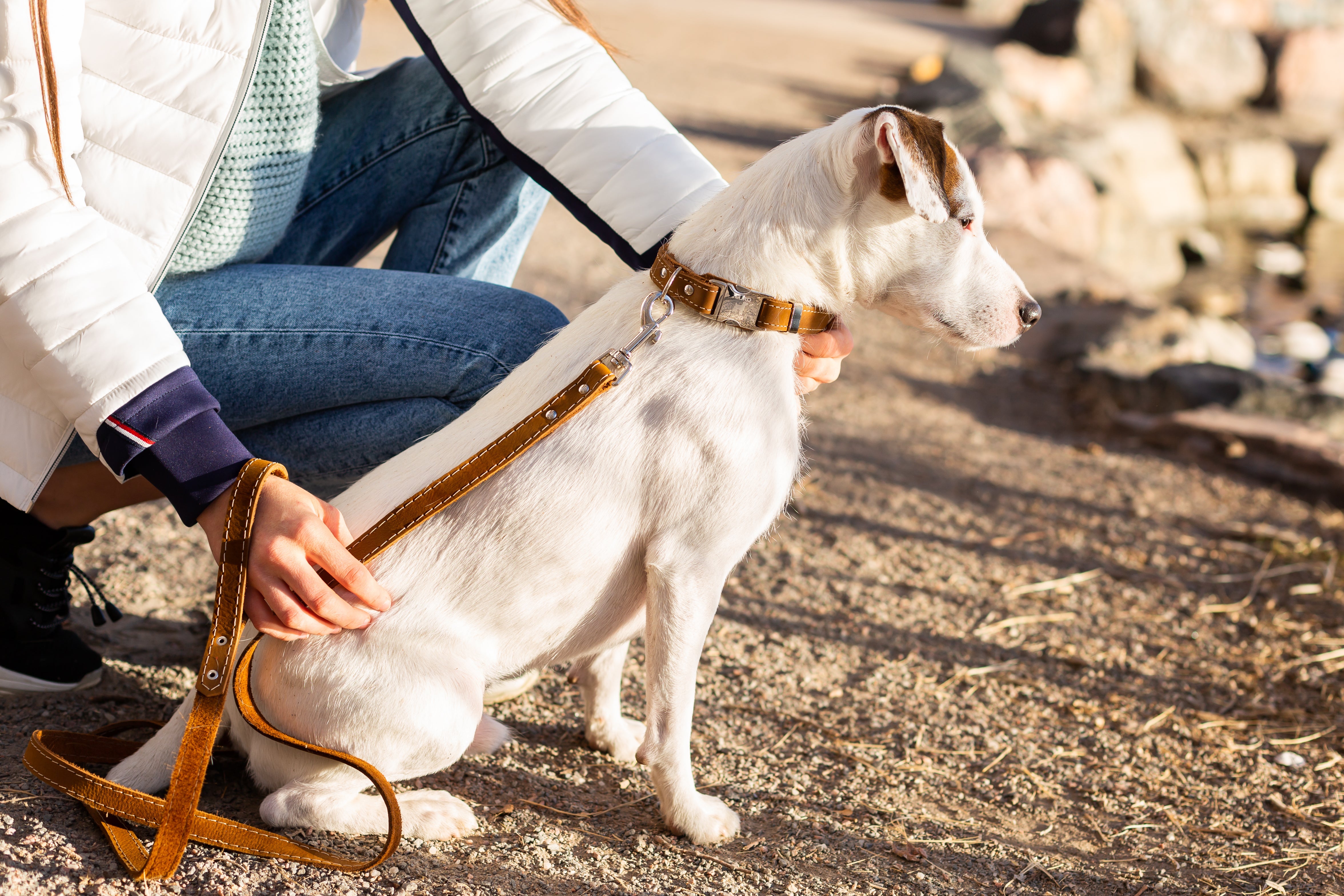 Bestseller Quick-Release Earth Brown Leather Dog Collar with Metal Buckle