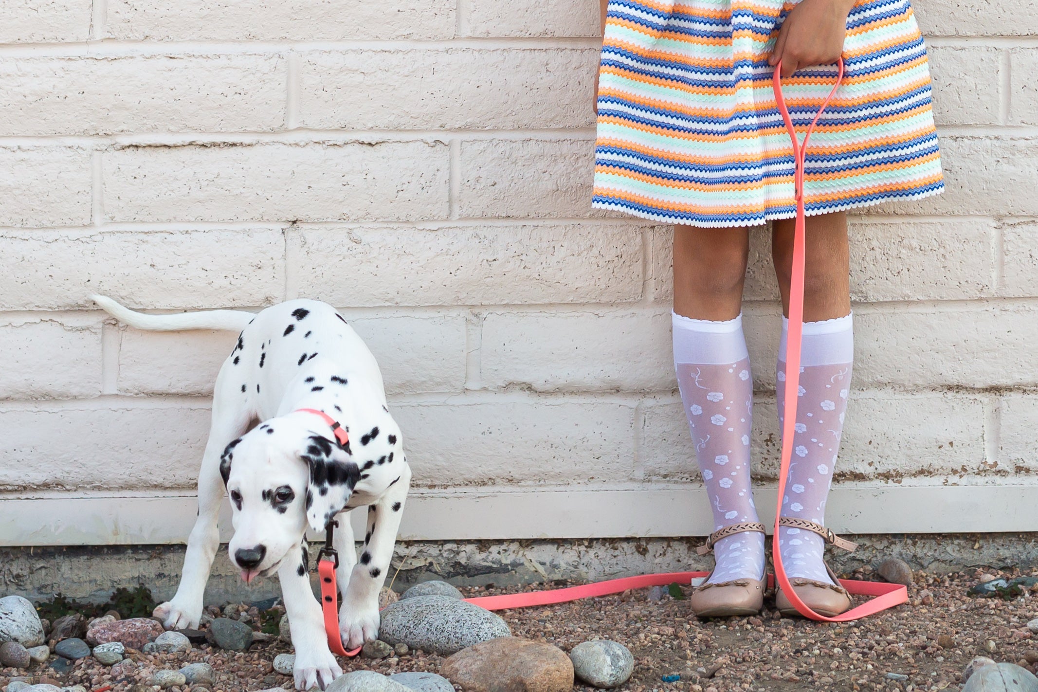 Waterproof Dog Collar