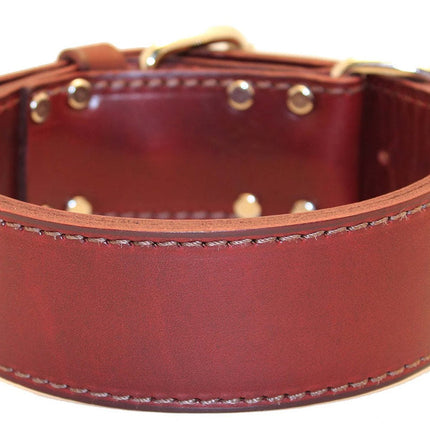 2" Latigo 2-Ply Leather Sporting Dog Collars with D-ring in Front