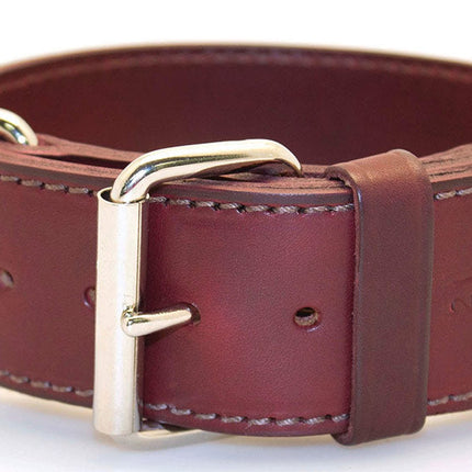 2" Latigo 2-Ply Leather Sporting Dog Collars with D-ring in Front