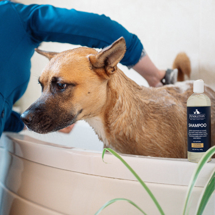 pendleton pet shampoo