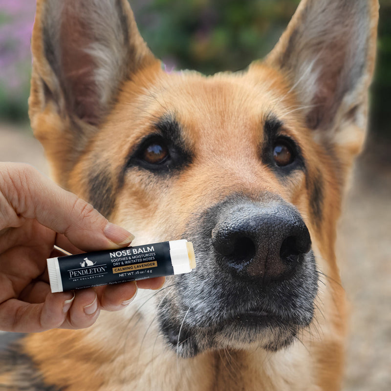 pendleton pet nose balm