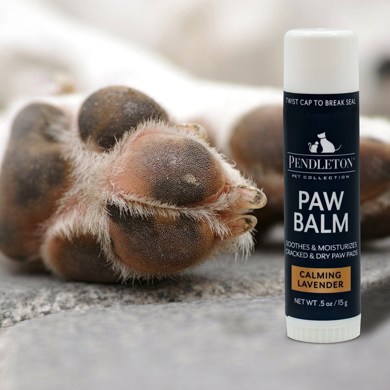 pendleton pet paw balm