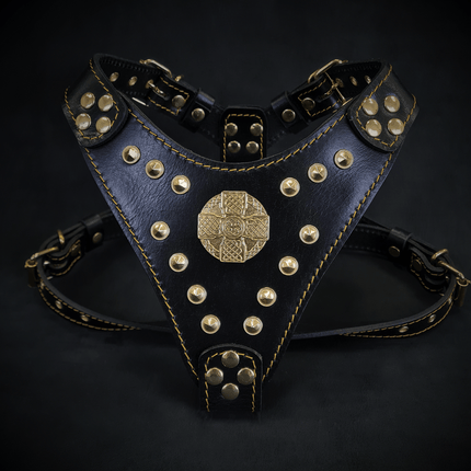 The ''Maximus'' harness Black & Gold Small to Medium Size