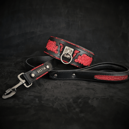 The ''Red Dragon'' leash