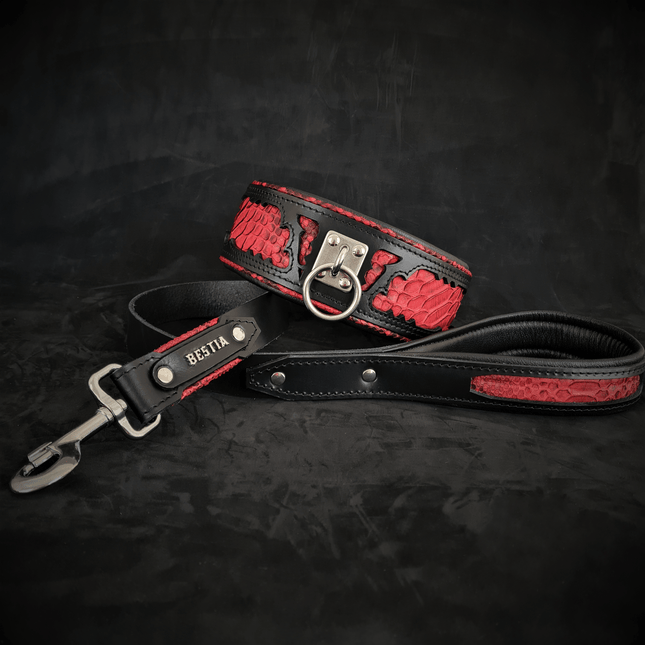 The ''Red Dragon'' leash