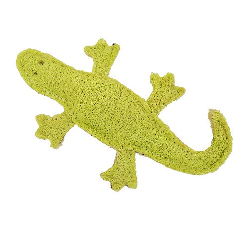 Loofah Gecko