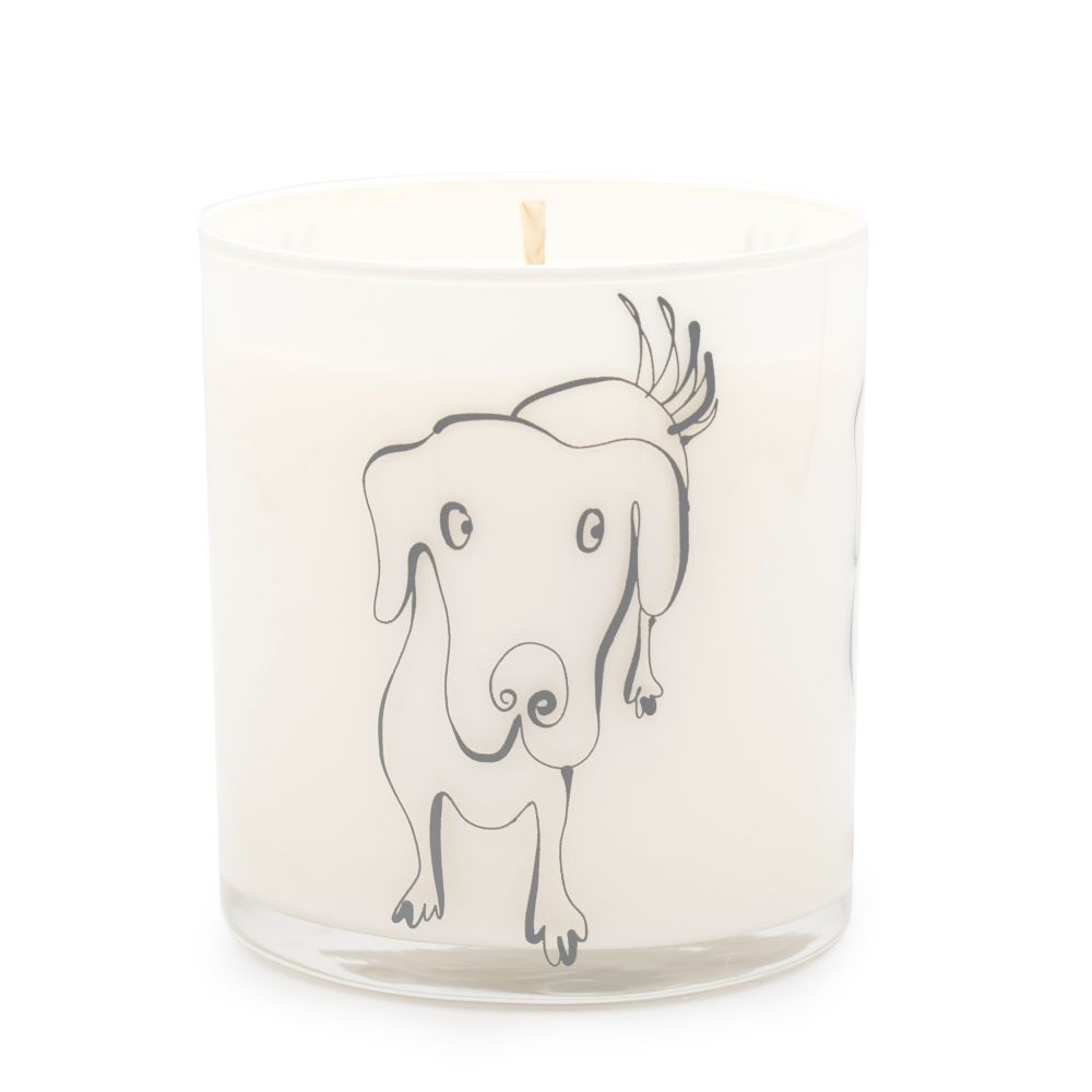 fresh rain scented gray dog jar candle