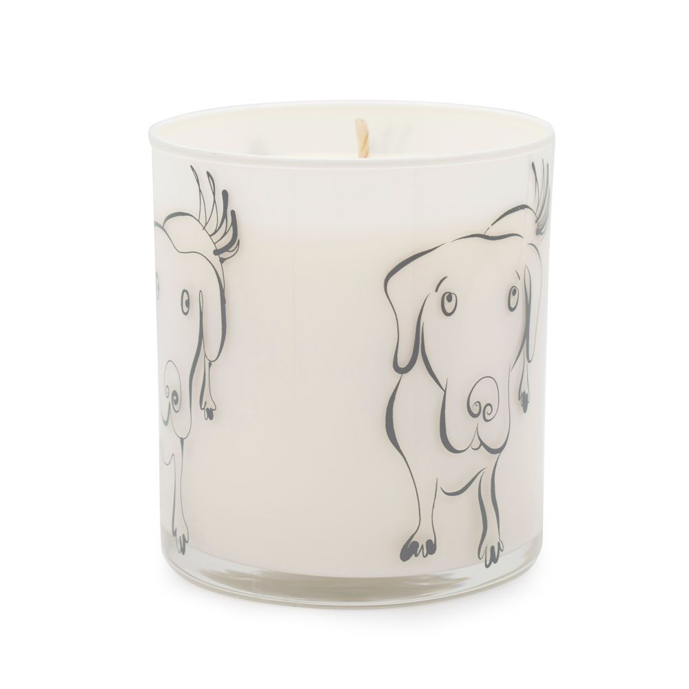 fresh rain scented gray dog jar candle