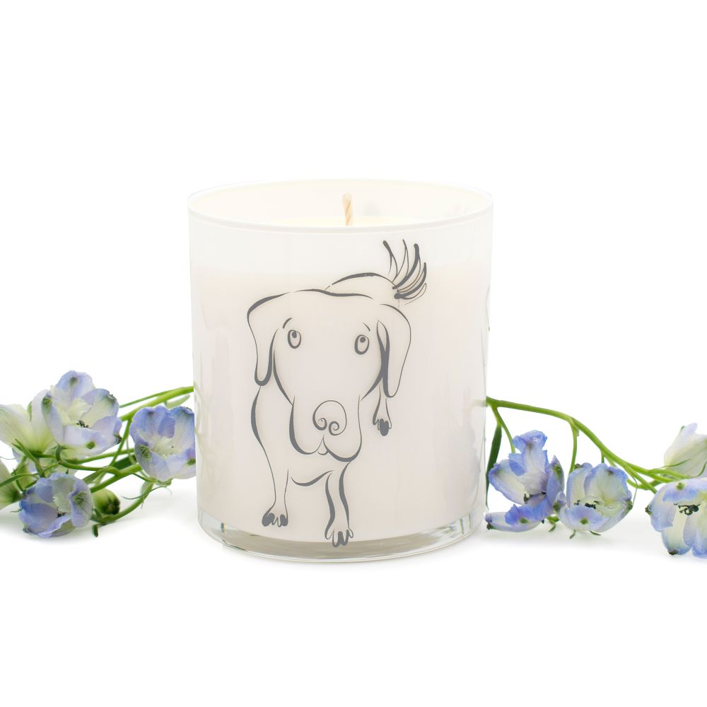 fresh rain scented gray dog jar candle