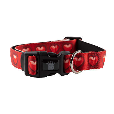 Valentine's Day Heart Adjustable Collar & Lead