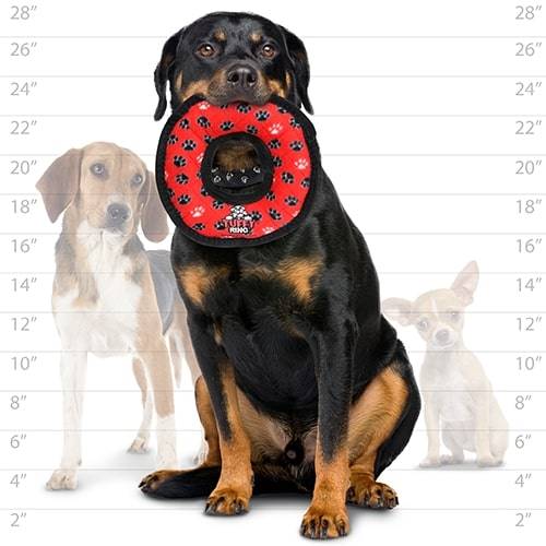 tuffy® Medium Red Ring & Yellow Bone 2 Pack