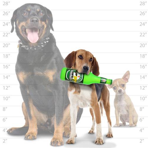 Silly Squeakers® Beer Bottle - Heinie Sniffn