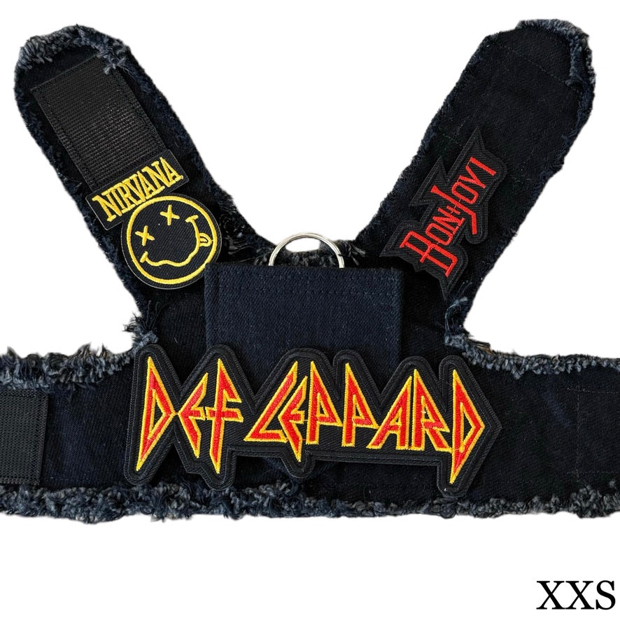 Def Leppard Harness