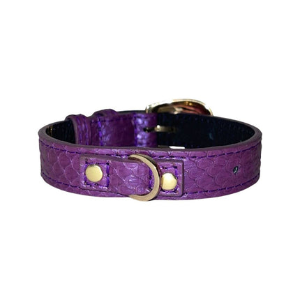 XS/S 7”-14” Iridescent Purple Custom Snake Collar/Custom Gold Italian Hardware