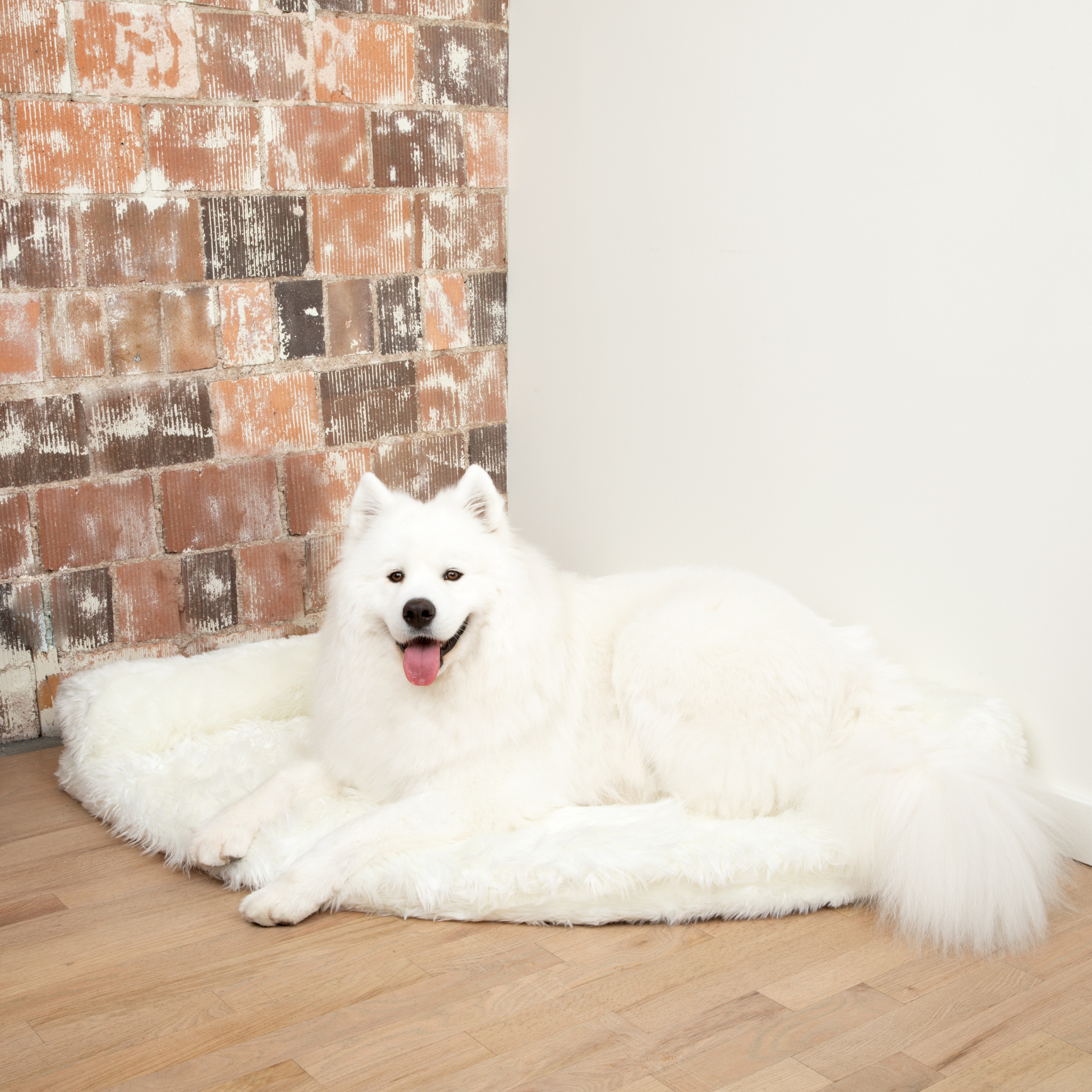 PupRug™ Memory Foam Corner Dog Bed - Polar White