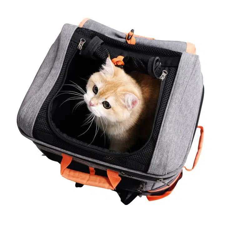 Two-Tier Cat-Dog Backpack Carrier