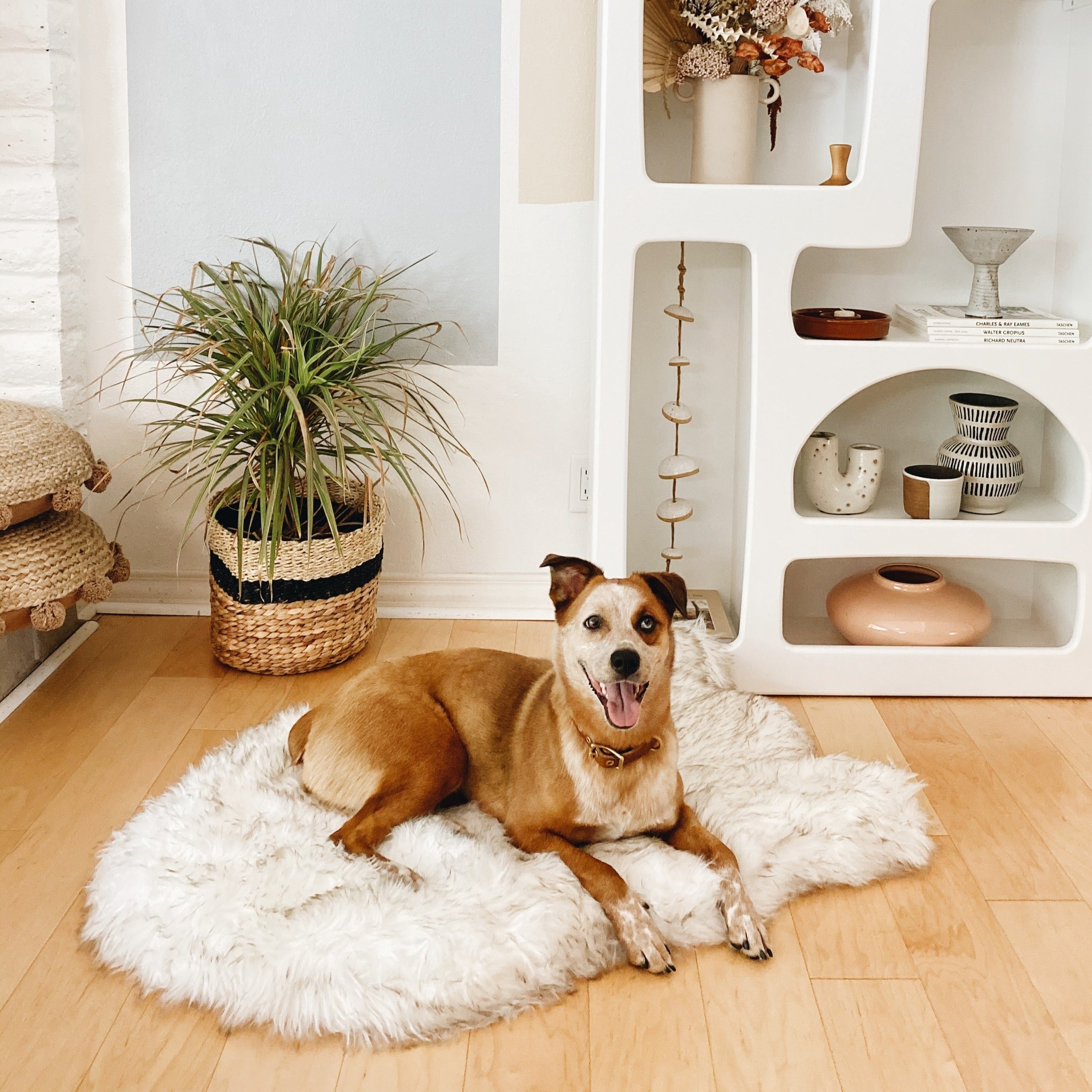 PupRug ™ Faux Fur Orthopedic Dog Bed - Curve White with Brown Accents