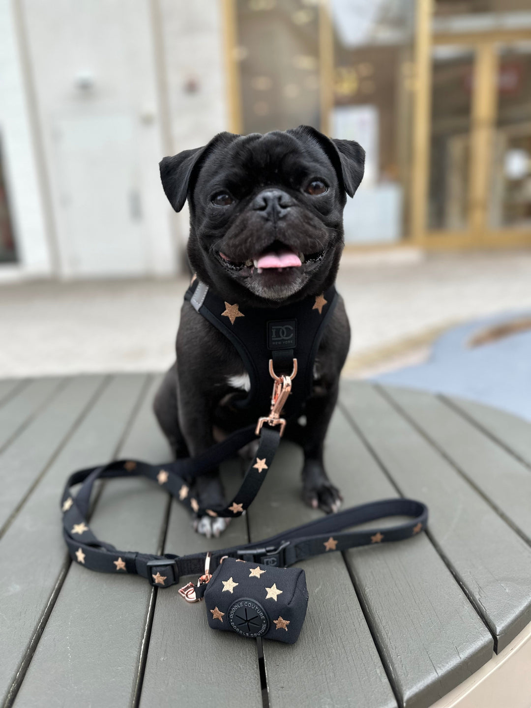 Secure-In-Place Dog Leash - Embroidered Rockstar