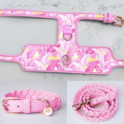 The Birds of a Feather Dog Harness