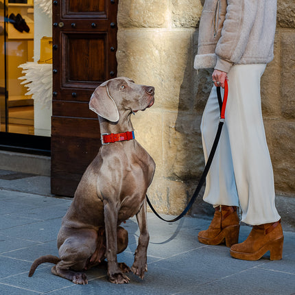 Patent Leather Rugby-Leash