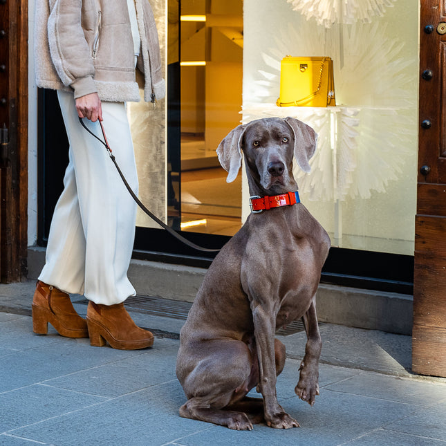 Patent Leather Rugby-Collar