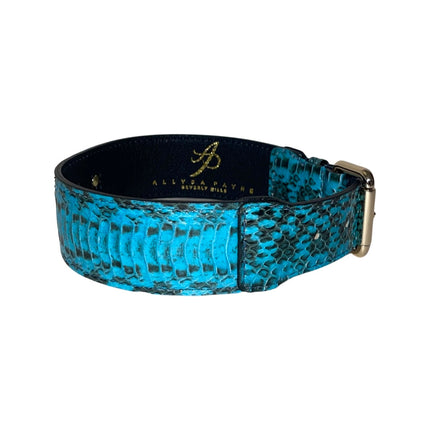 Turquoise & Black Classic Snake Collar With Gold Hardware