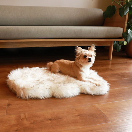 PupRug by Paw.com™ Faux Fur Orthopedic Dog Bed - Curve White with Brown Accents