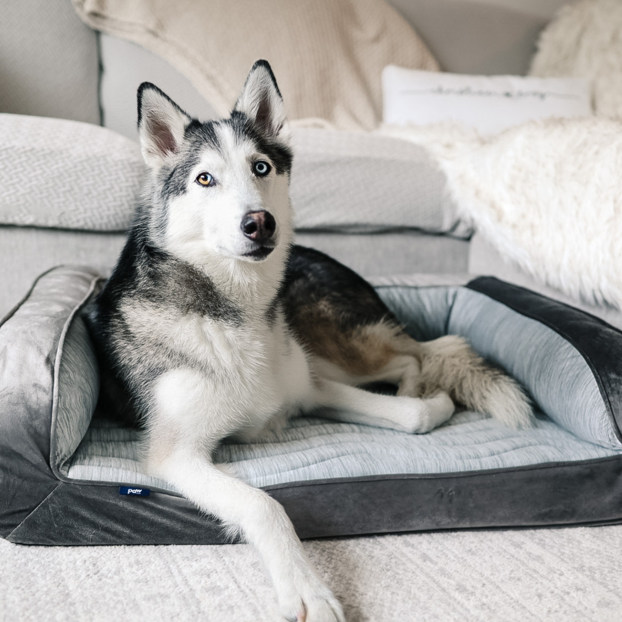 PupChillCooling Bolster Dog Bed + Waterproof Blanket Bundle - Arctic Grey