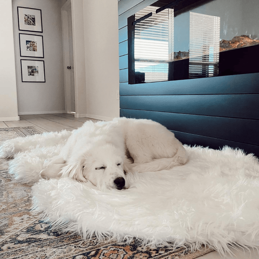 PupRug ™ Faux Fur Orthopedic Dog Bed - Curve Polar White