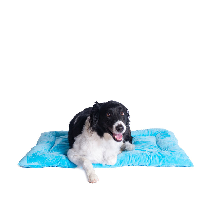 Armarkat M01CTL-L Large Pet Bed Mat Dog Crate Soft Pad With Poly Fill Cushion Sky Blue