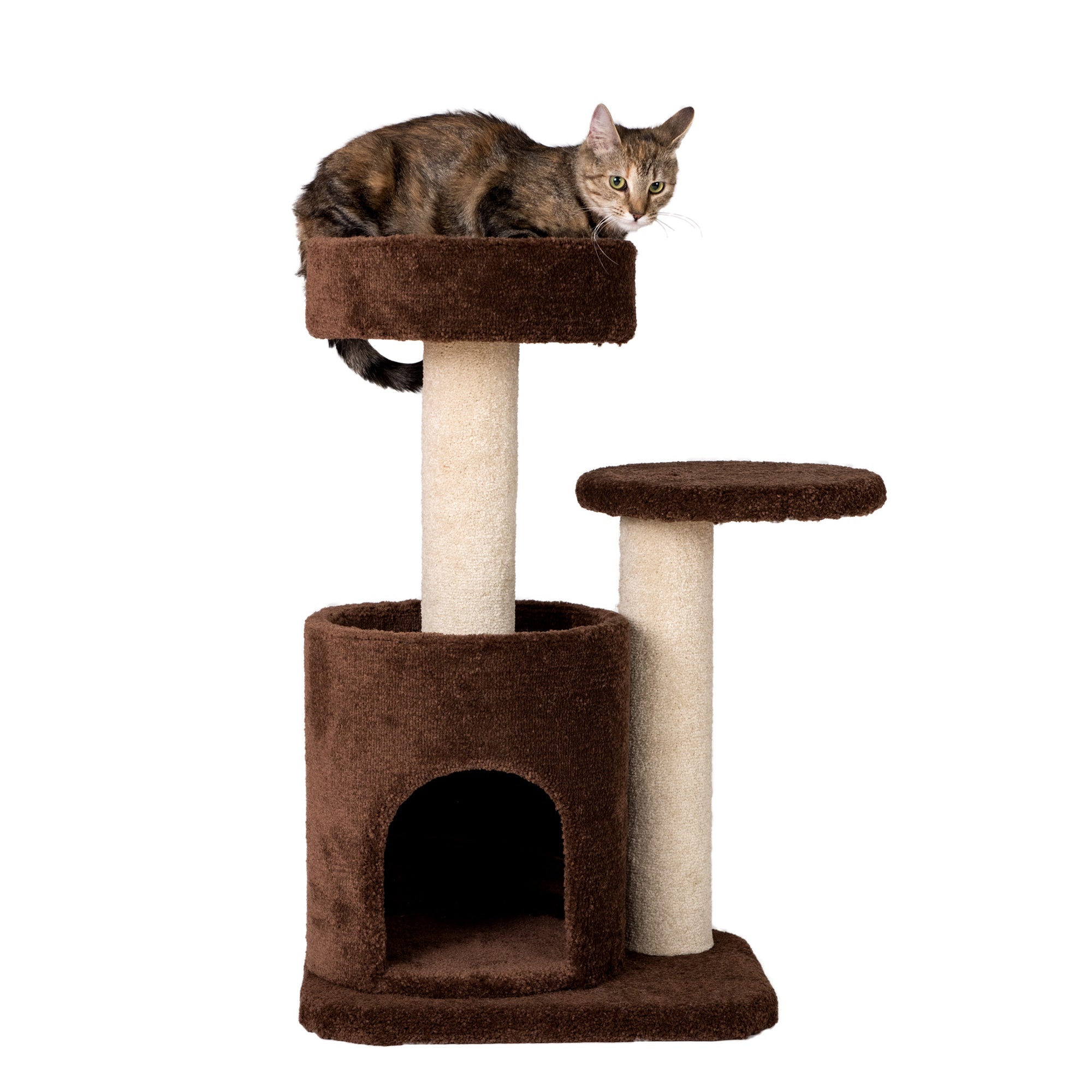 Armarkat F3005 Carpeted Cat Tree Condo, Kitten Activity Tree, Brown