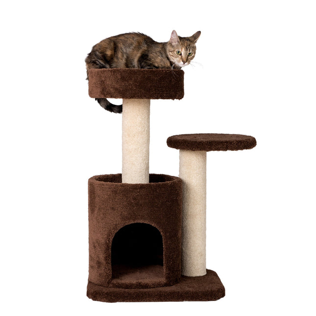 Armarkat F3005 Carpeted Cat Tree Condo Kitten Activity Tree Brown