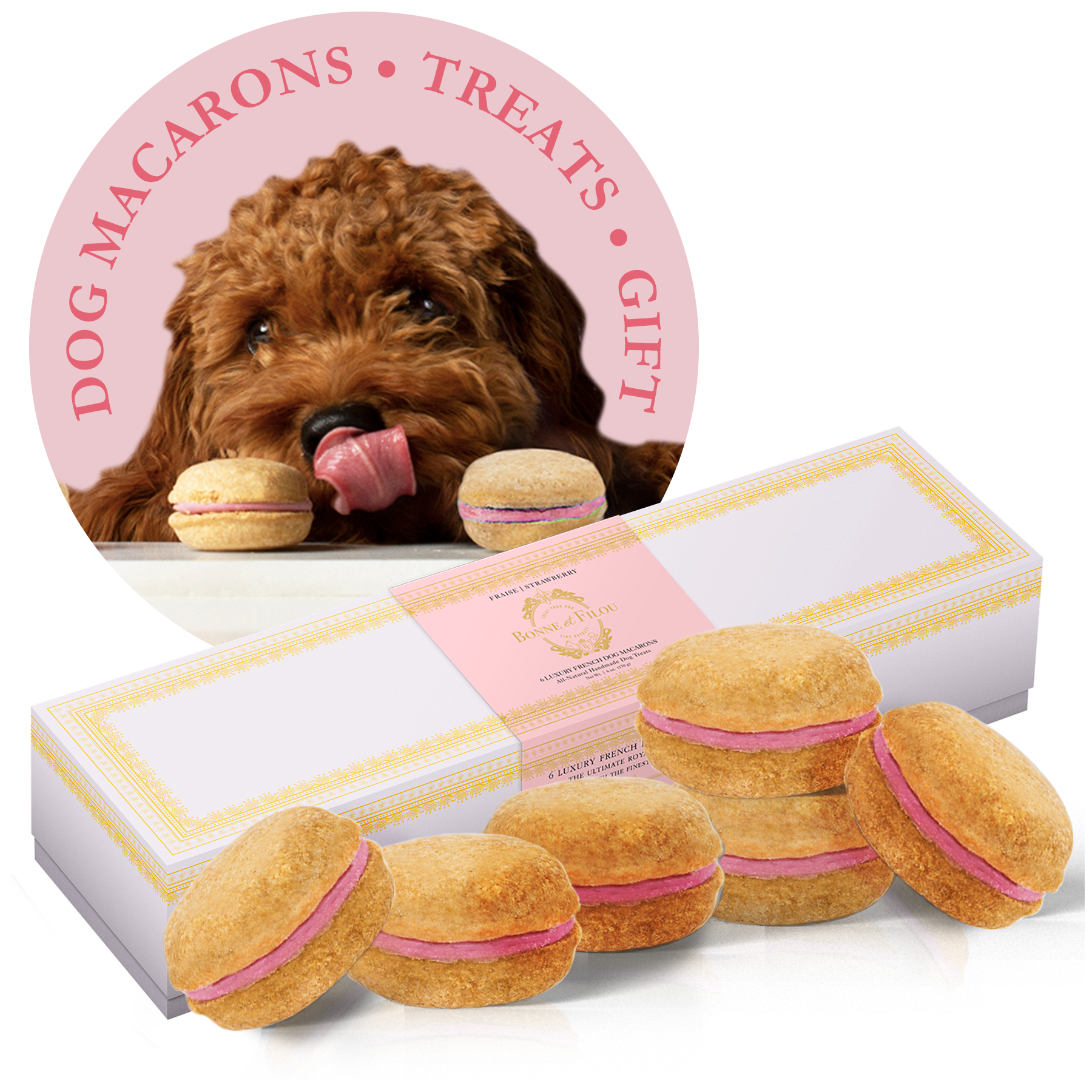 Dog Macarons (Box of 6) Strawberry