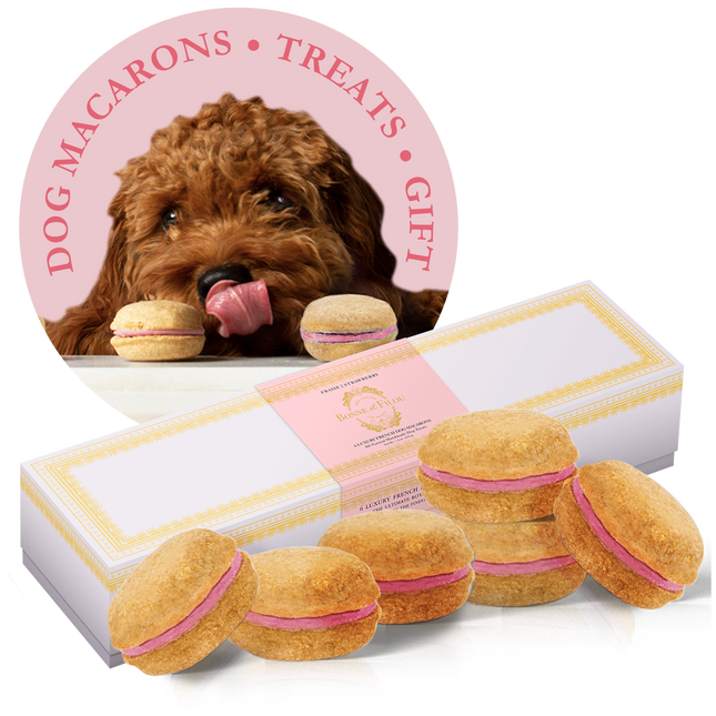 Dog Macarons (Box of 6)