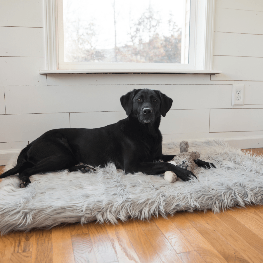 PupRug Faux Fur Orthopedic Dog Bed - Rectangle Grey