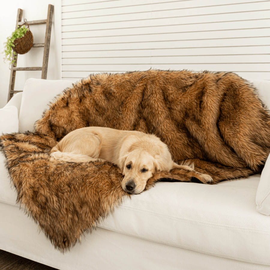 PupProtector Waterproof Throw Blanket - Sable Tan Original (60