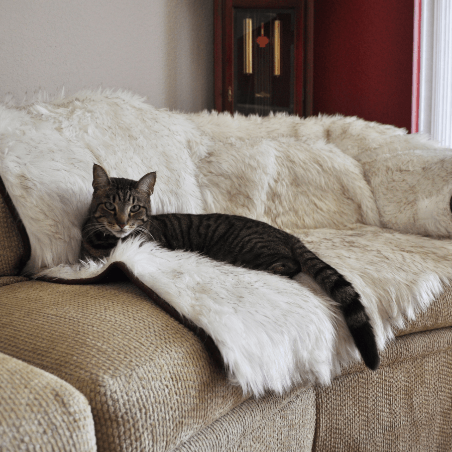 CatNap Anti-Scratch & Waterproof Throw Blanket - White with Brown Accents