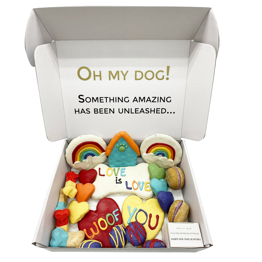 Pride Themed Dog Treats Gift Box