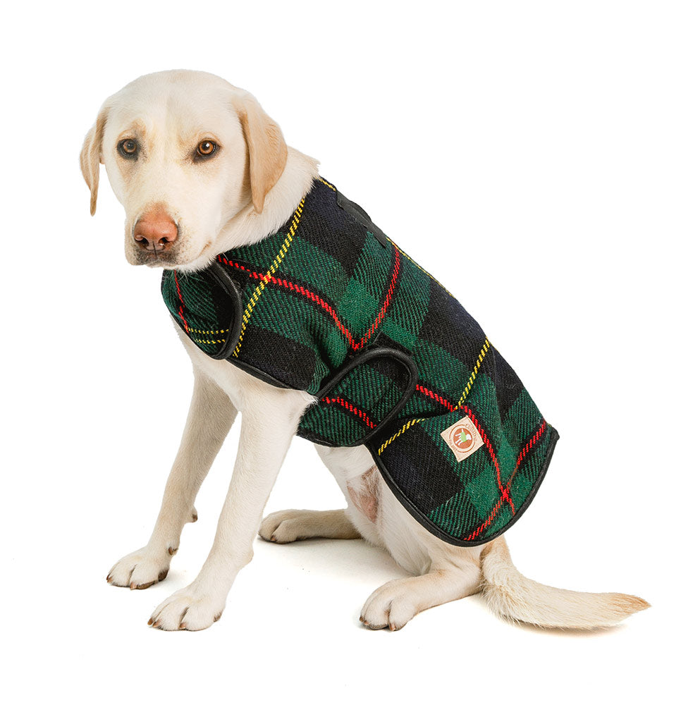 Navy Tartan Plaid Blanket Dog Coat