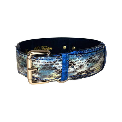 Stunning Multi-Blue Tone Snake Classic Collar