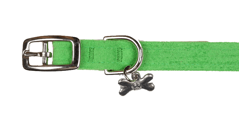 Green Collar