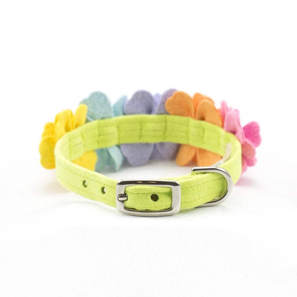 Rainbow Tinkie's Garden Flower Collar