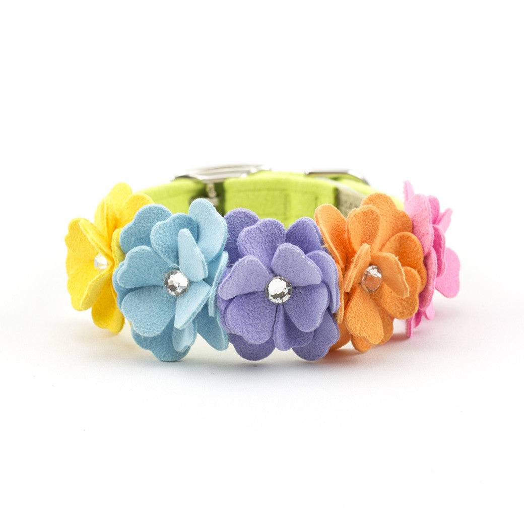 Rainbow Tinkie's Garden Flower Collar Kiwi