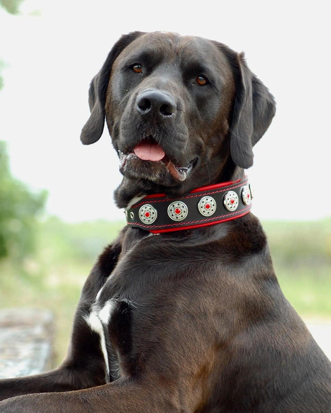 "Bijou" collar black & red