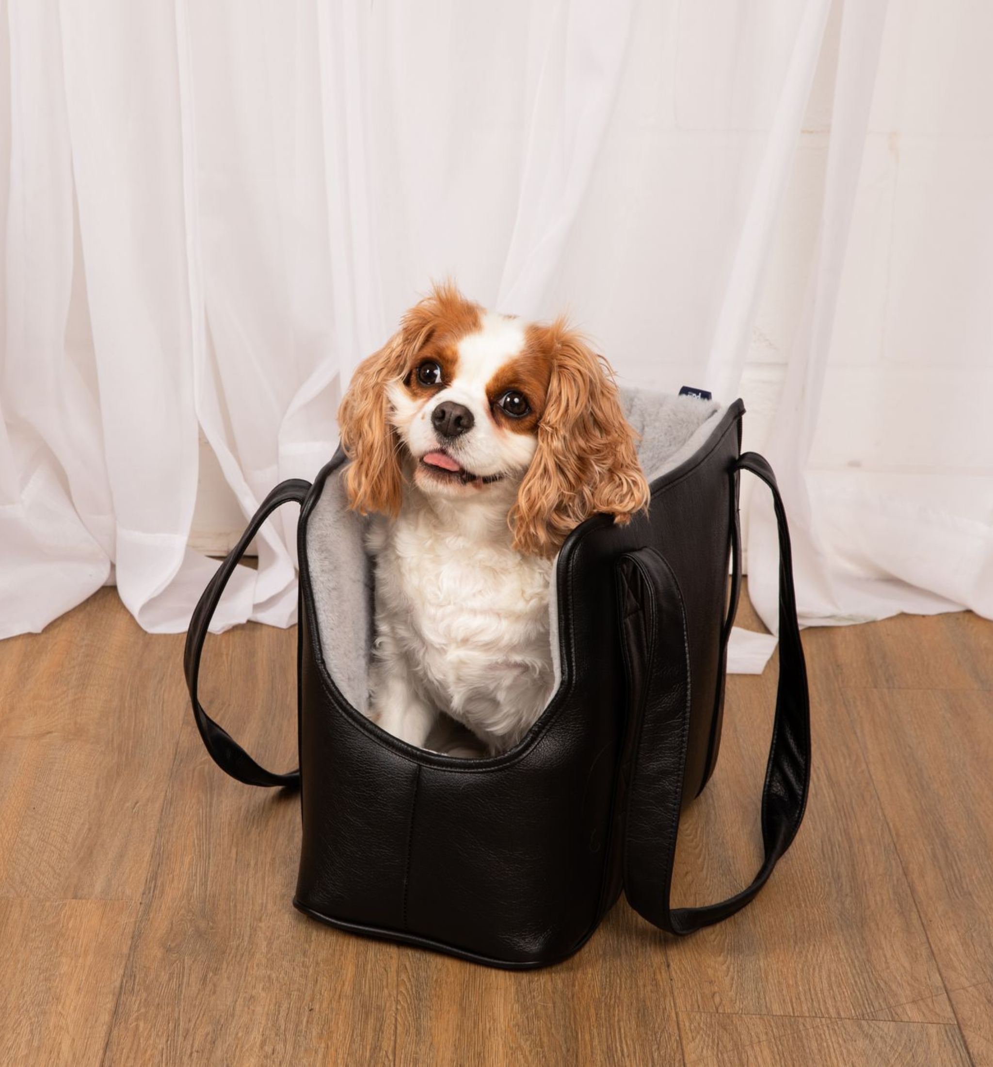 PupTote 3-in-1 Faux Leather Dog Carrier Bag - Black